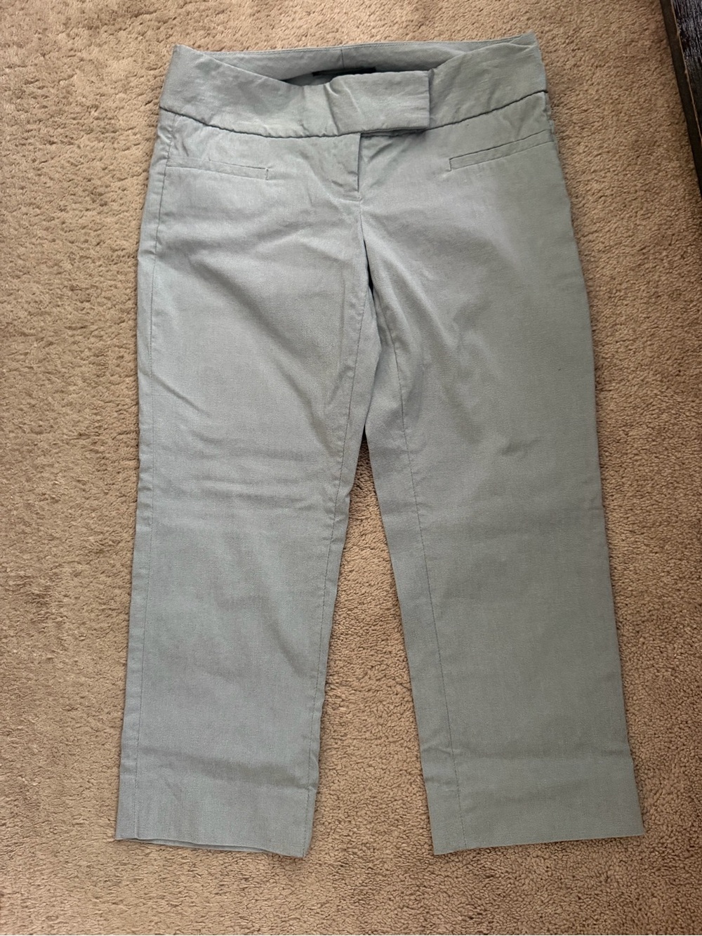 The Limited Light Gray Exact Stretch Pants